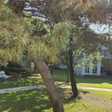 Environnement dégagé et verdoyant pour ce type 2 (47 m2) ave